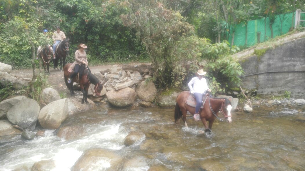 Cascada El Palto-Vilcabamba必去景点