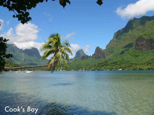 Top Tour Transport Moorea-莫雷阿岛必去景点