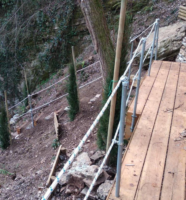 Orto Botanico delle Conifere景点图片