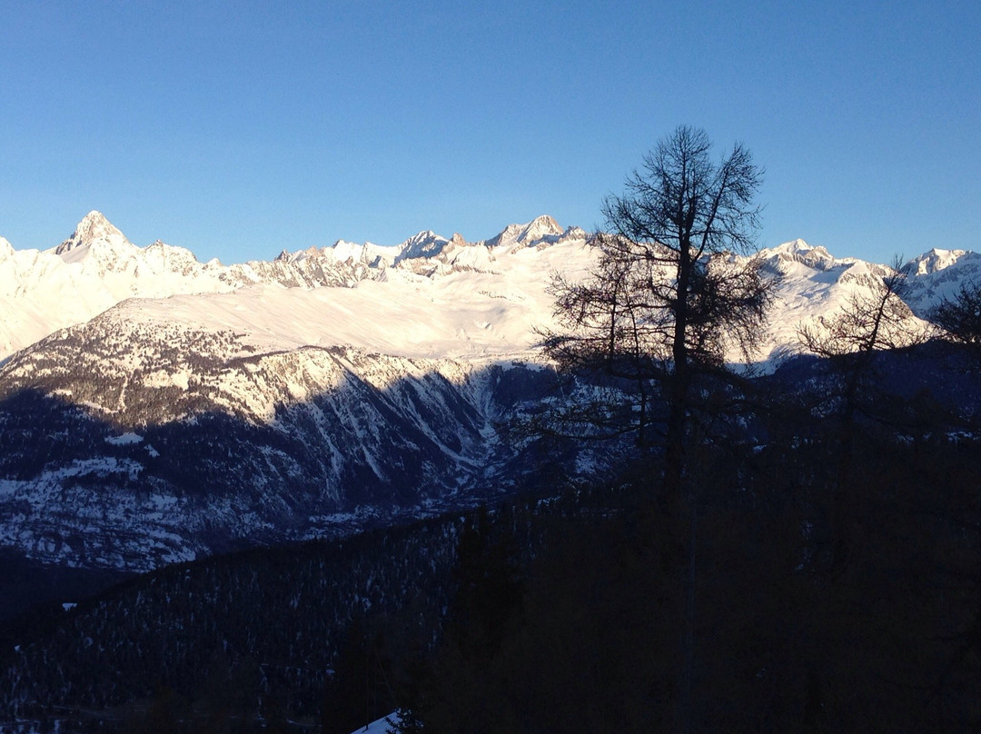 Berggasthaus Wasenalp主图