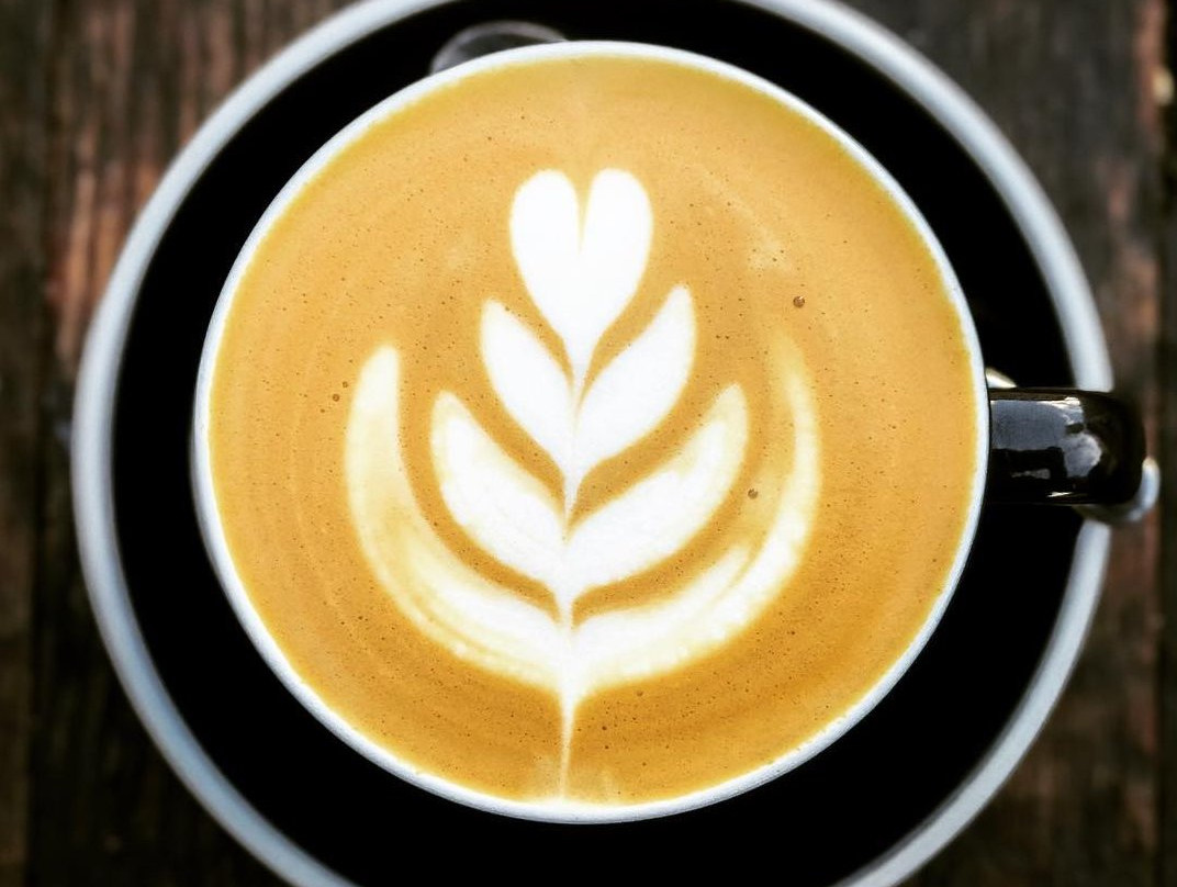 Bodega Coffee
