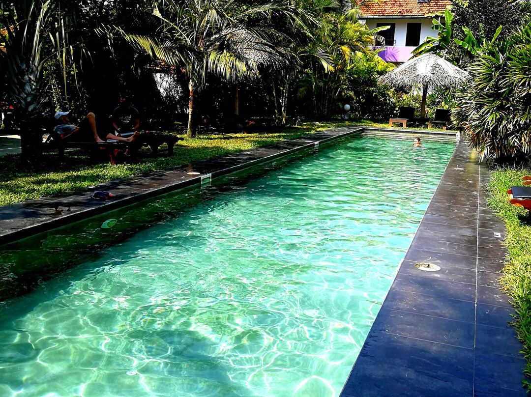 Turtle Eco Beach主图