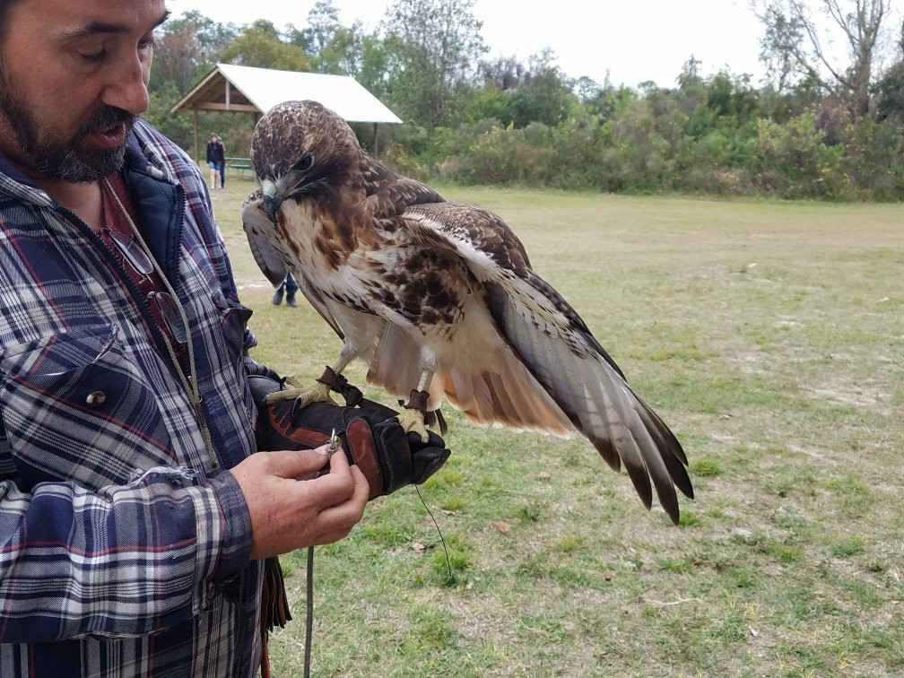 Avian Reconditioning Center-Apopka必去景点