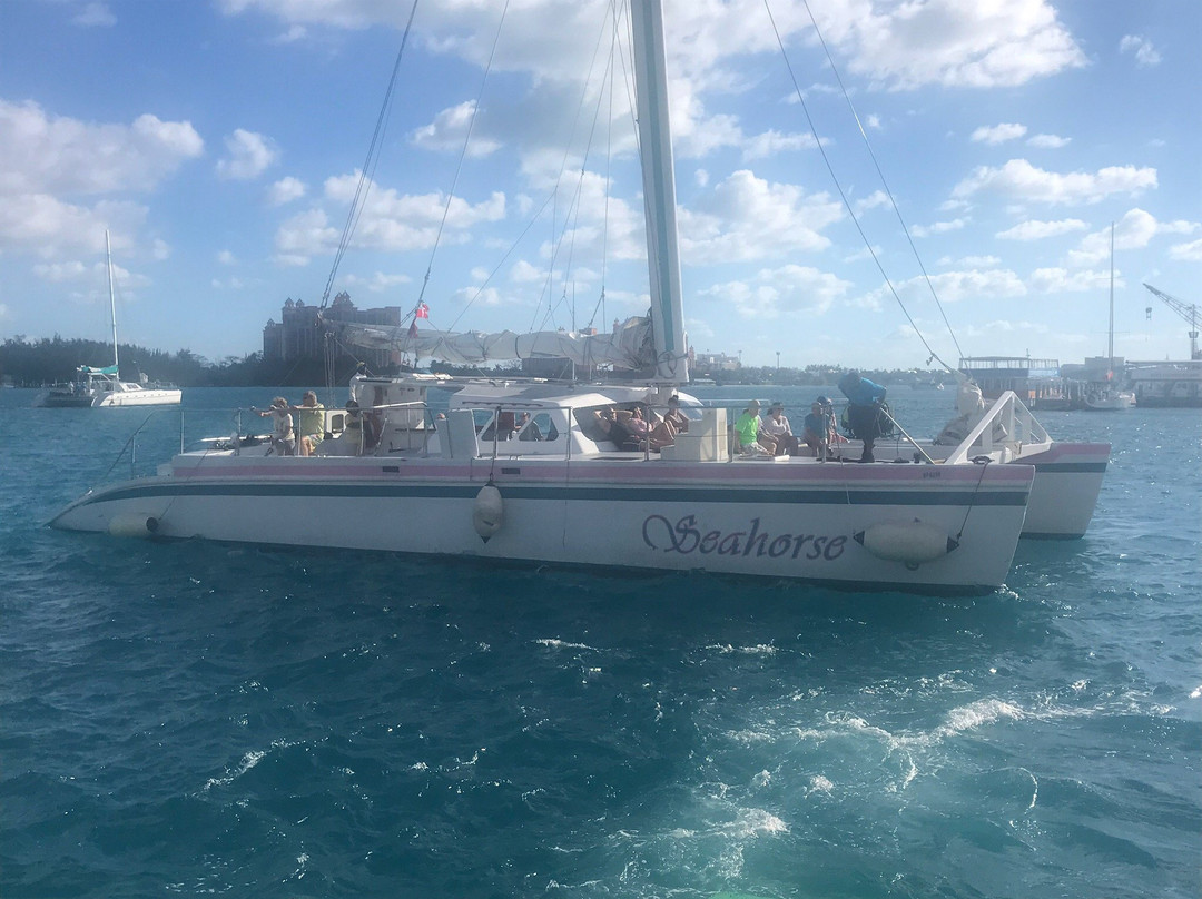 Seahorse Sail and Snorkel Adventure景点图片