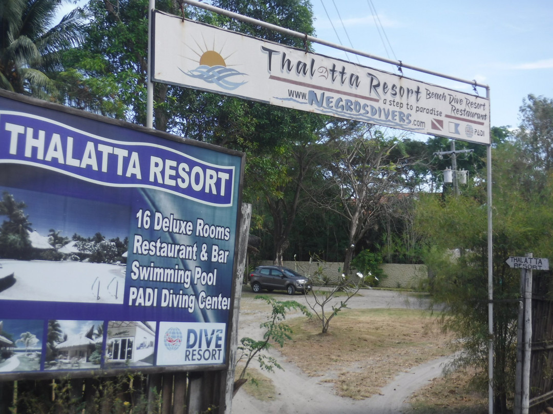 塔拉塔度假村主图