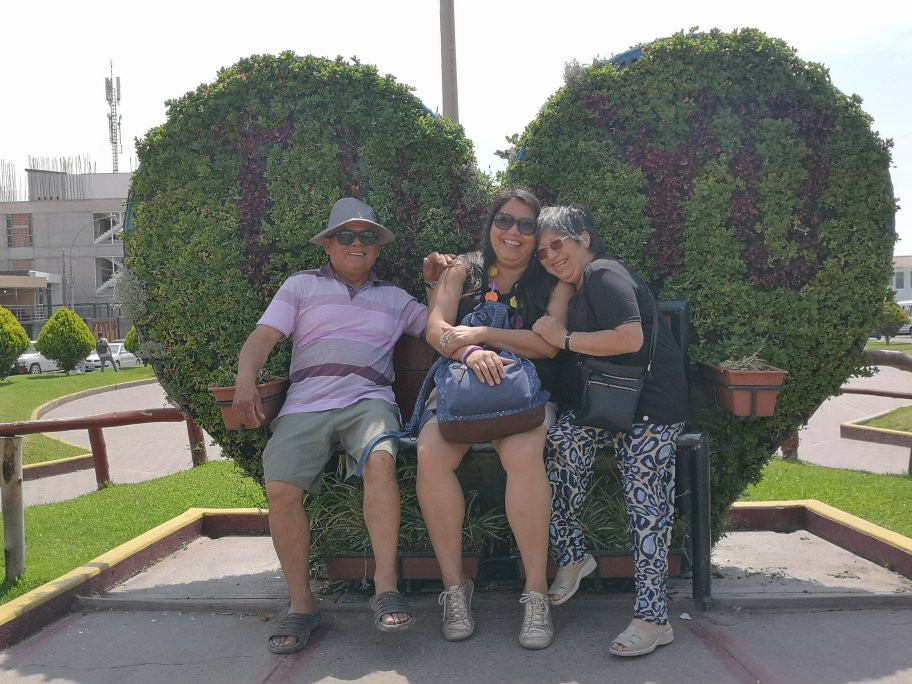 Bosque Municipal De Tacna-塔克纳必去景点