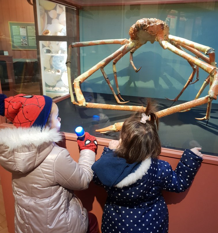 Haslemere Educational Museum景点图片