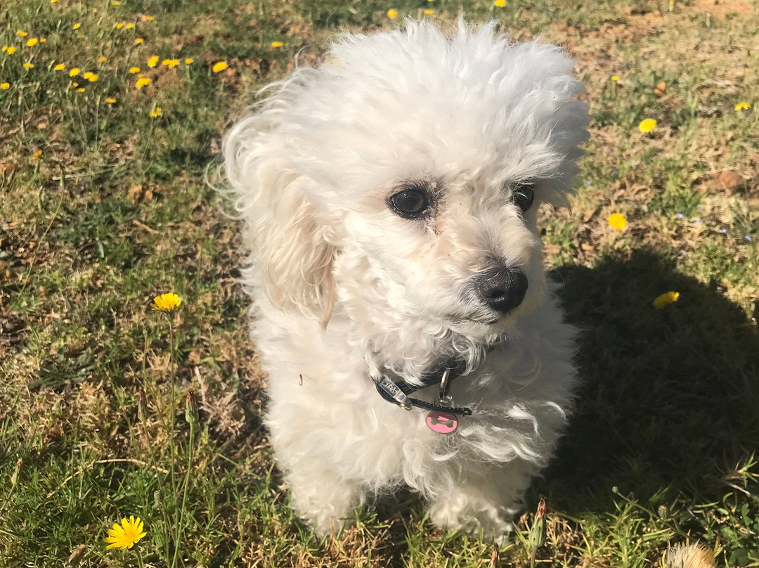 Onderkloof Wine Estate-西索美塞必去景点