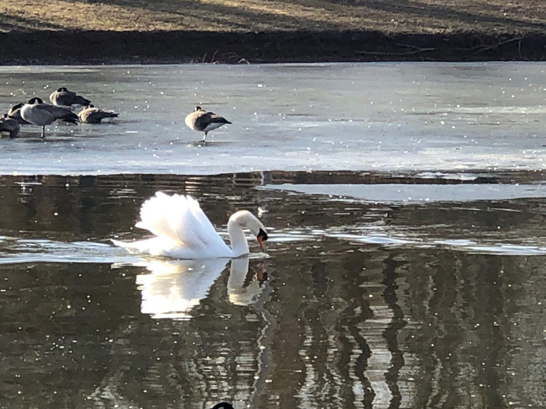 Dunnegan Memorial Park-Bolivar必去景点