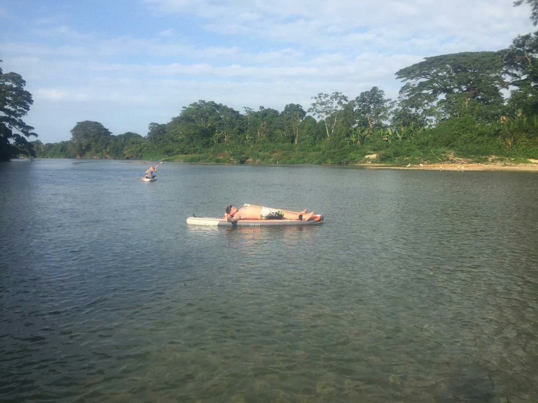 Bad Monkey-帕洛米诺必去景点