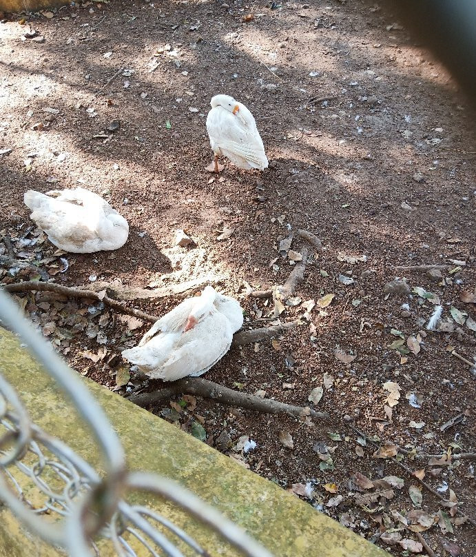 Deer Park-亚尔考德必去景点