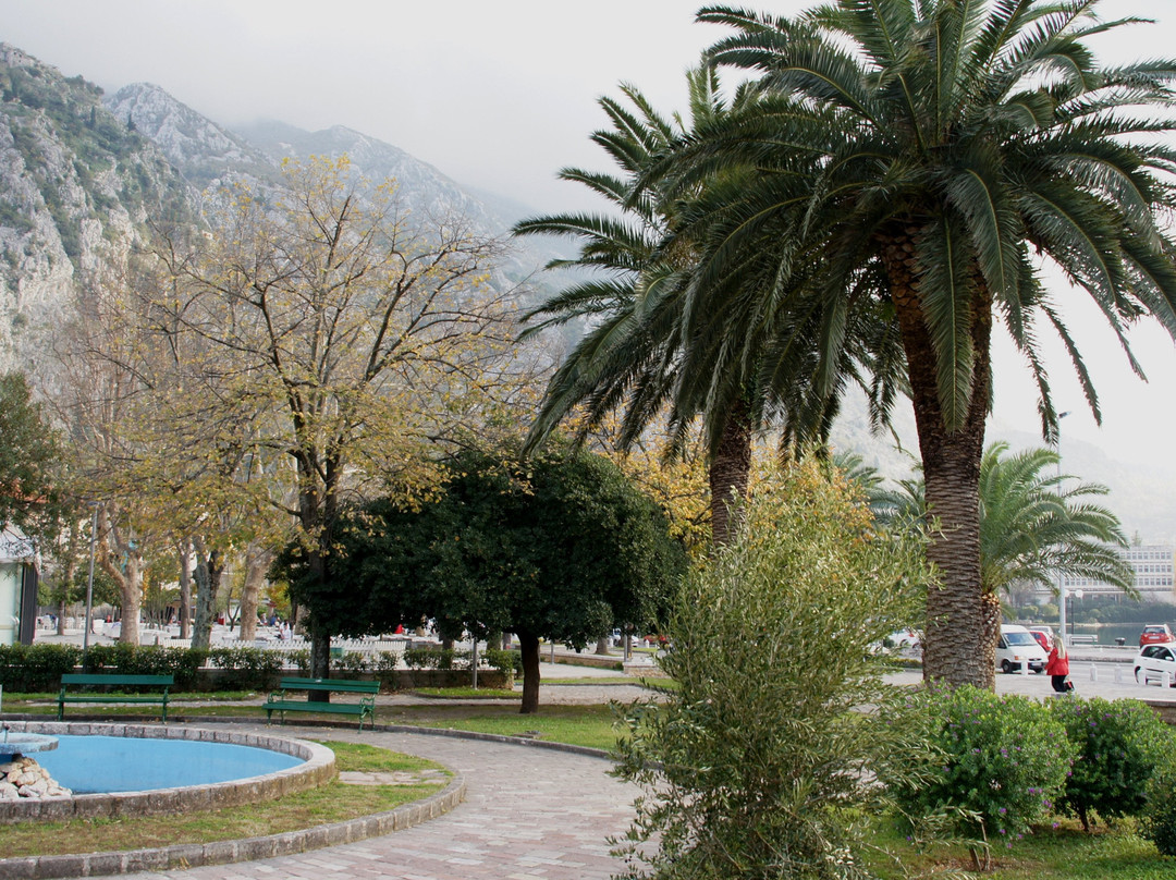Park Slobode景点图片