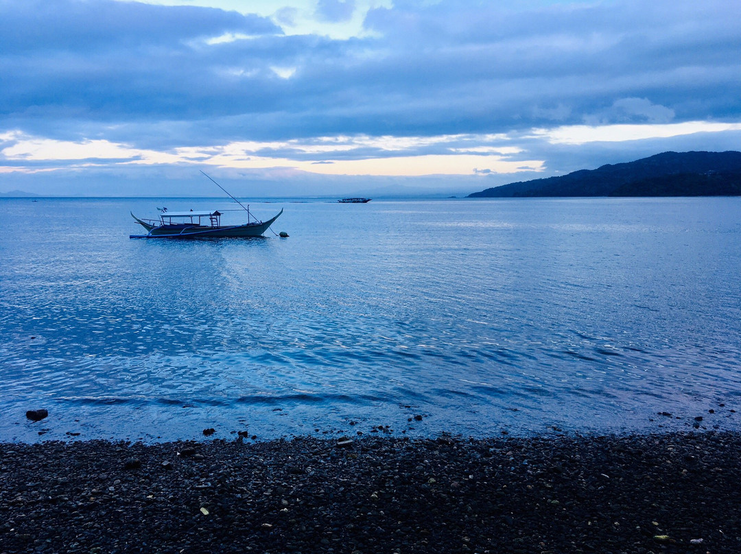 Bubblemaker Dive and Beach Resort主图