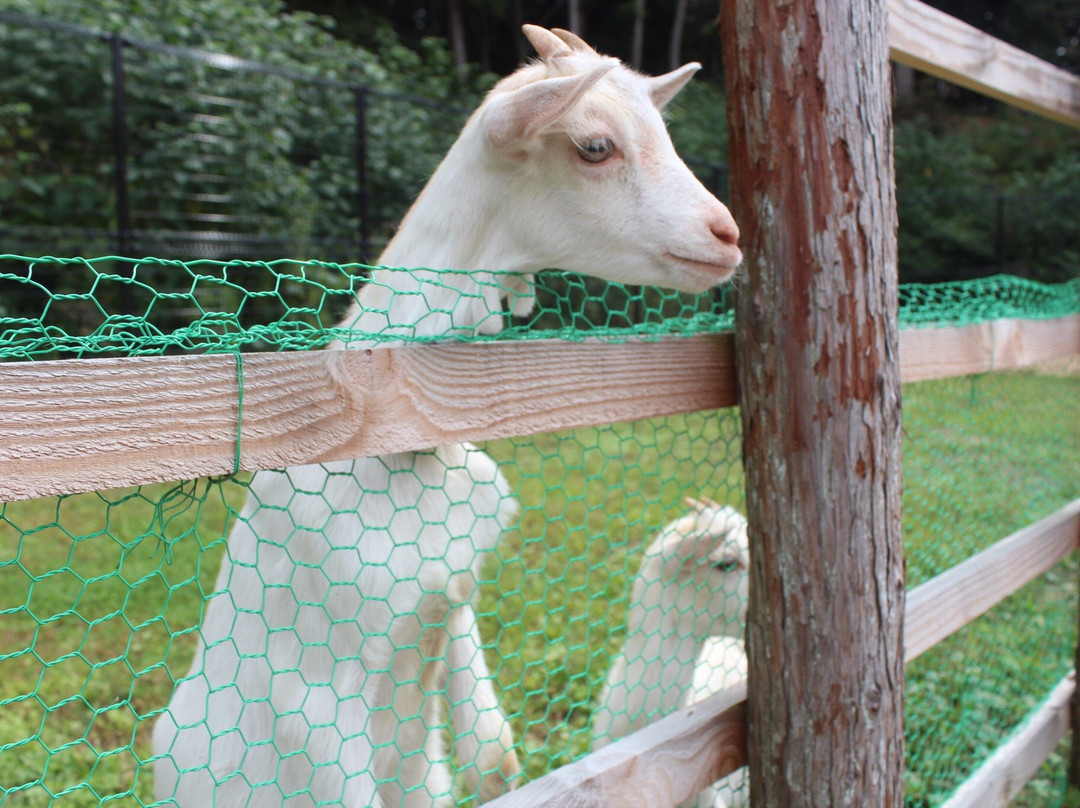 Fukuchiyama City Zoo-福知山市必去景点