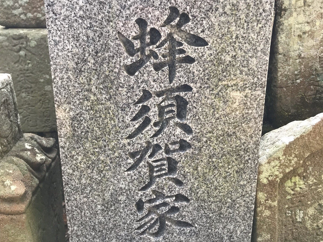 Tatsueji Temple-小松岛市必去景点