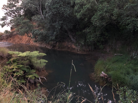 Tawhitokino Regional Park-奥克兰必去景点