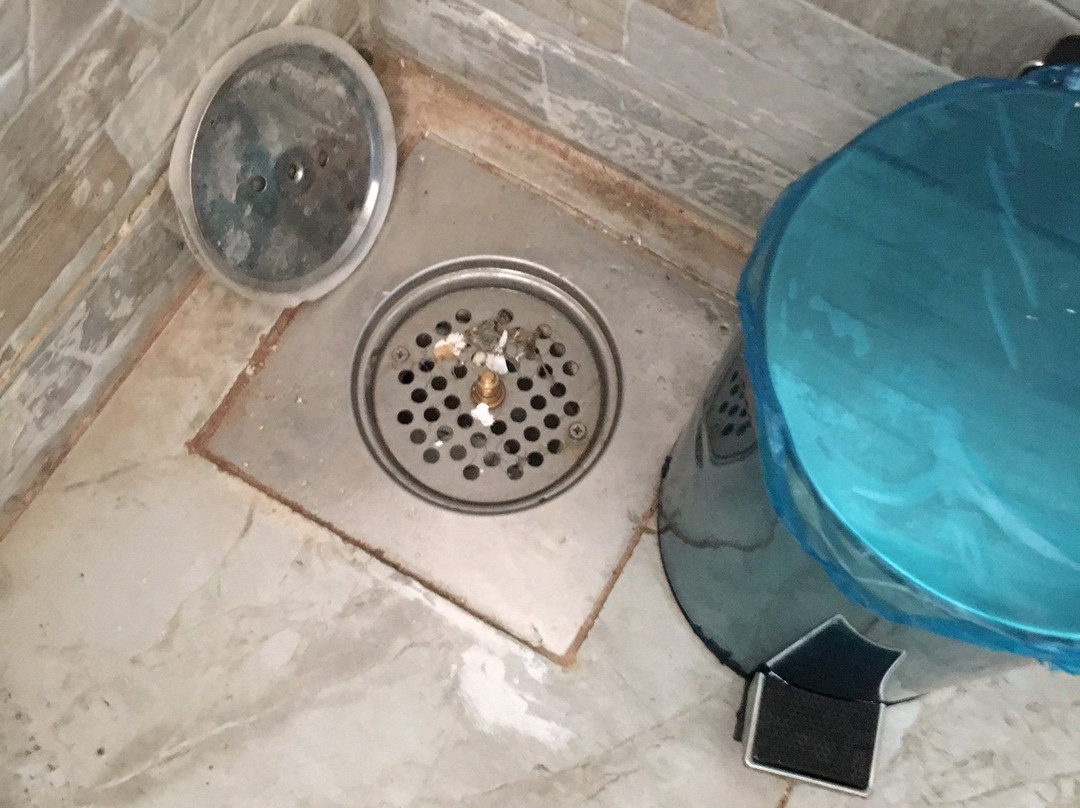 阿纳卡图努比亚旅馆主图