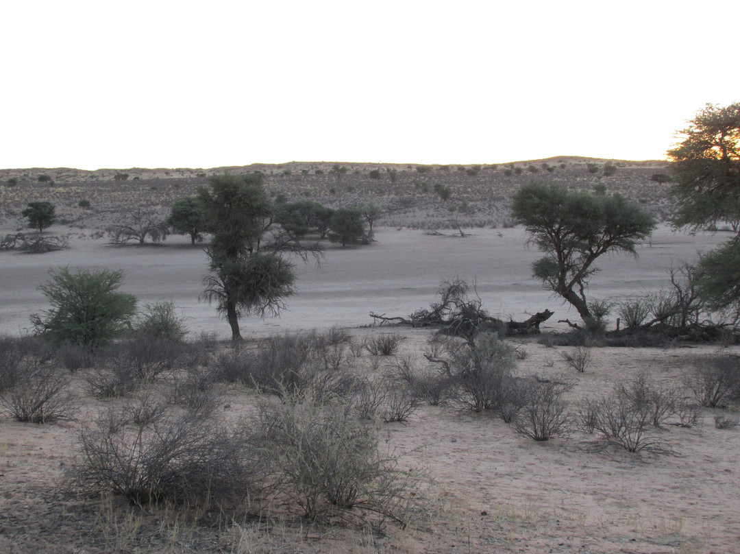 Kalahari Tented Camp主图