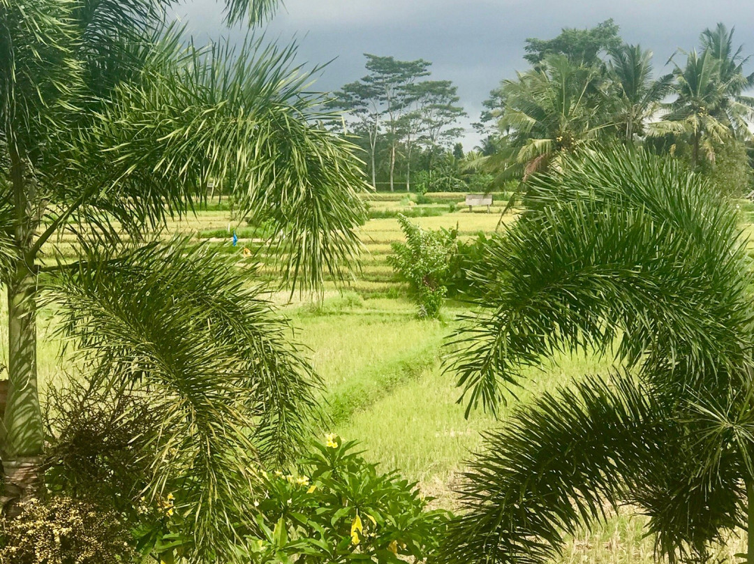Petak酒店住宿-Villa Kubu Agung
