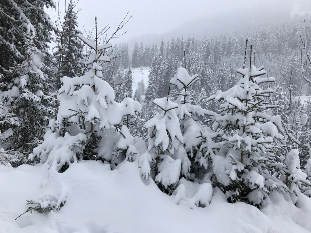 Wandergebiet Nauders-闹达斯必去景点