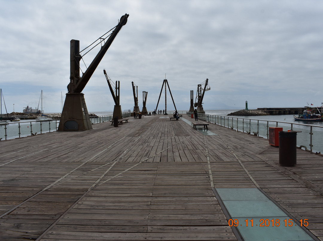 Muelle Salitrero Compañía Melbourne Clark景点图片