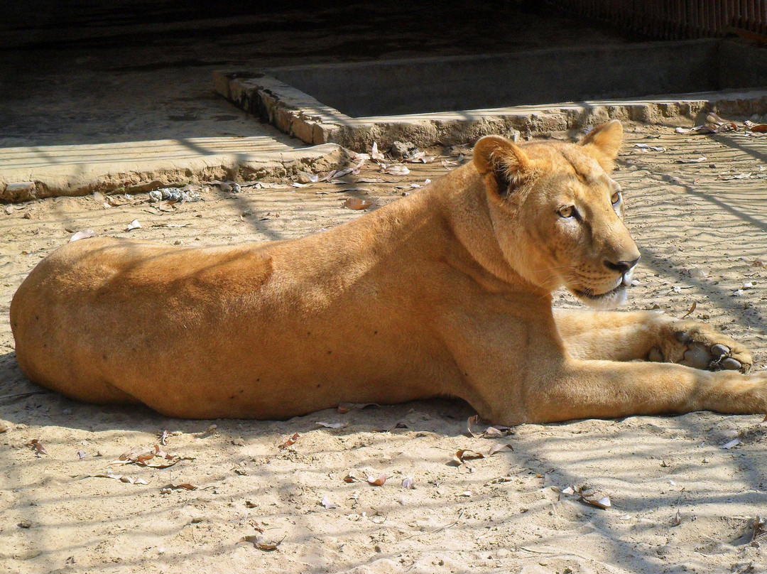 Chittagong Zoo景点图片