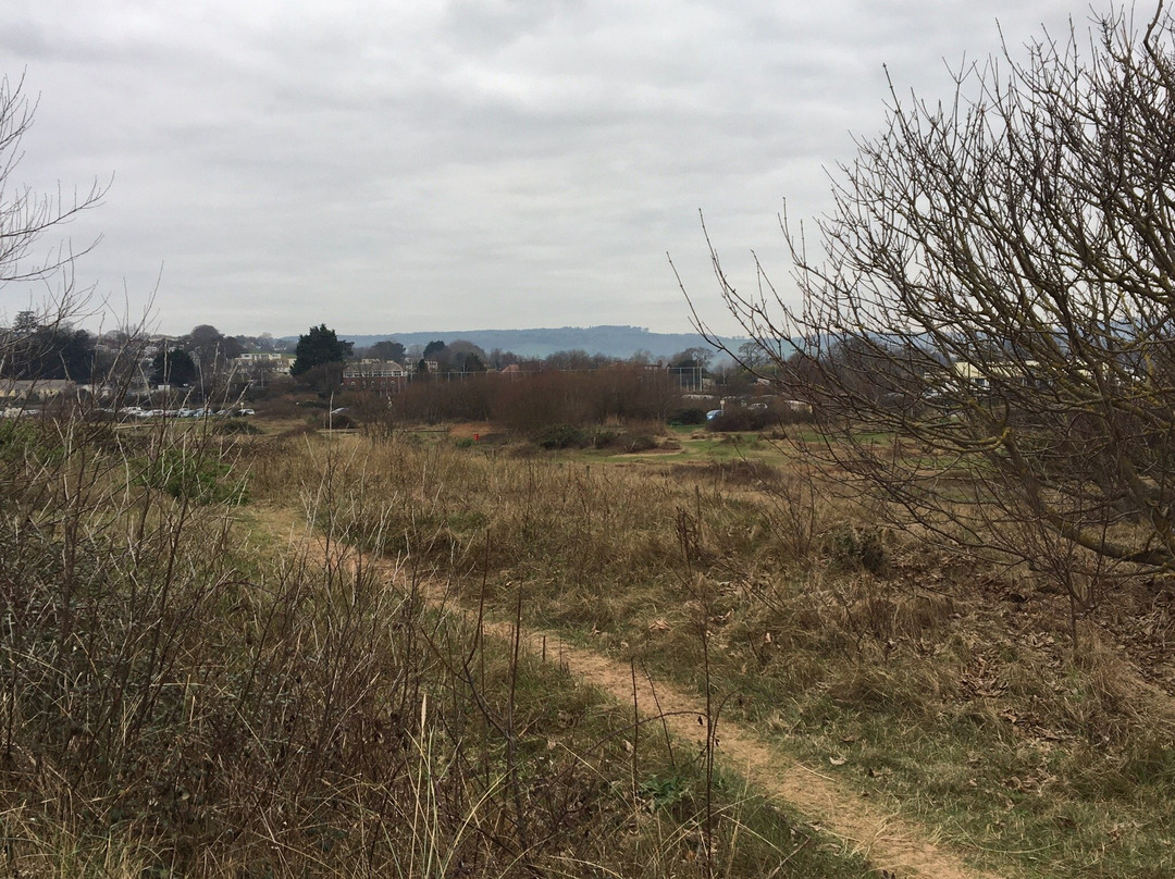 Dawlish Warren Nature Reserve-道利什必去景点