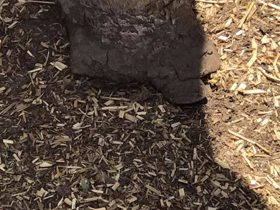 Hahndorf Farm Barn景点图片