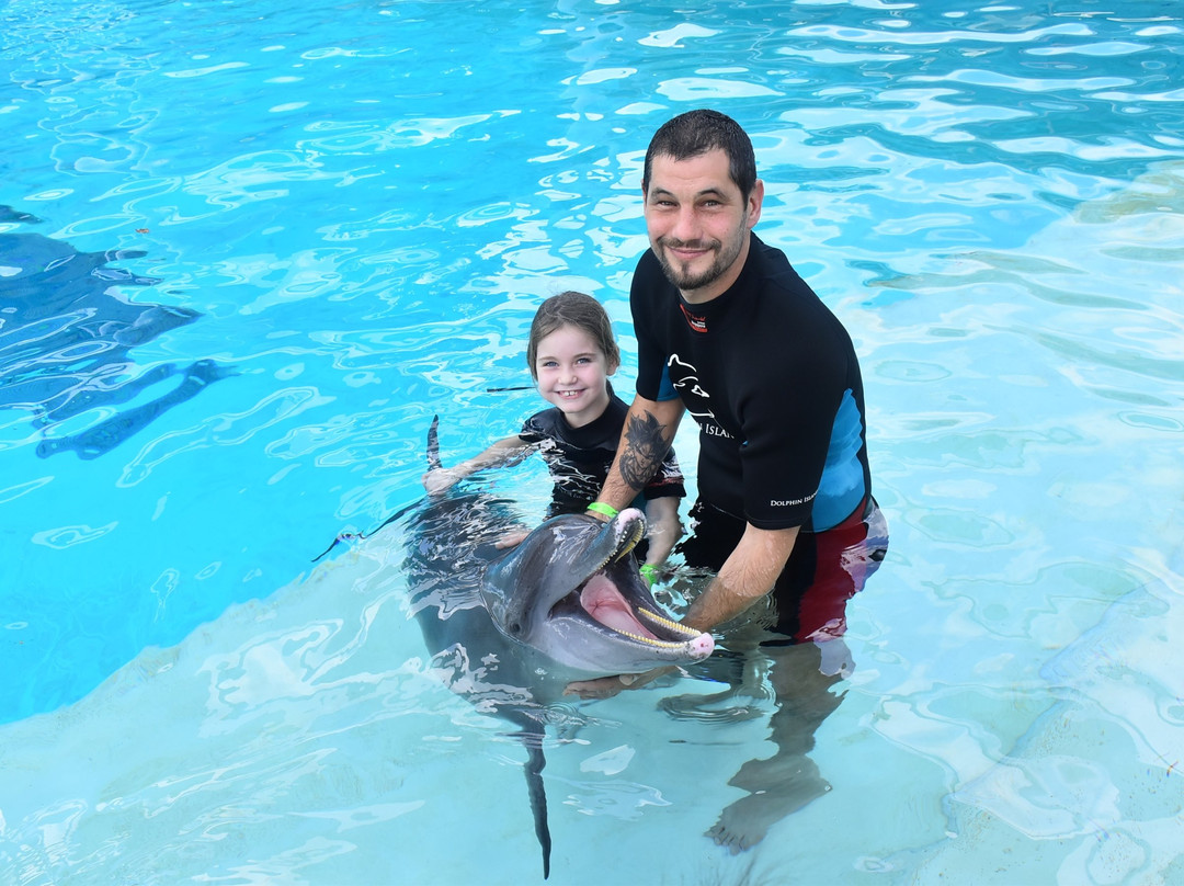 海豚岛-圣淘沙岛必去景点