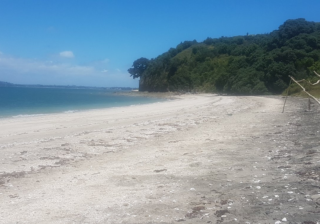 Motuihe Island-奥克兰必去景点