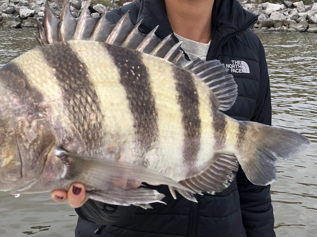 Get The Net Fishing Charters-克马必去景点