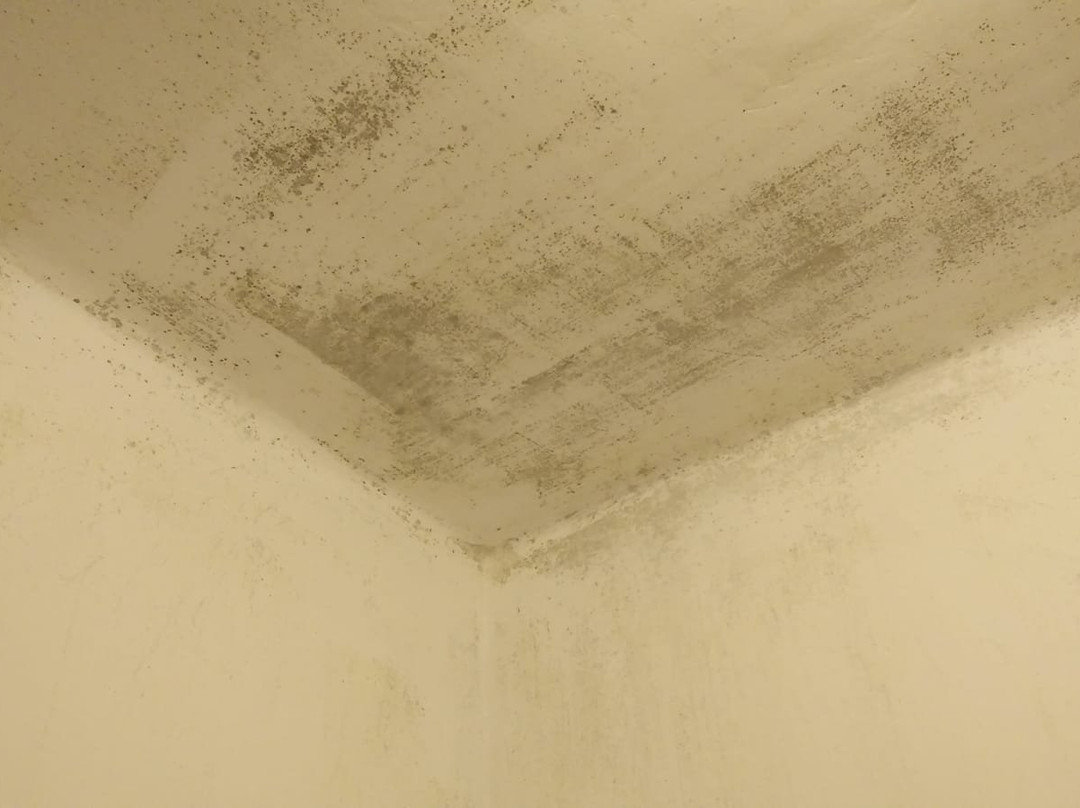 奴加斯瓦纳酒店主图