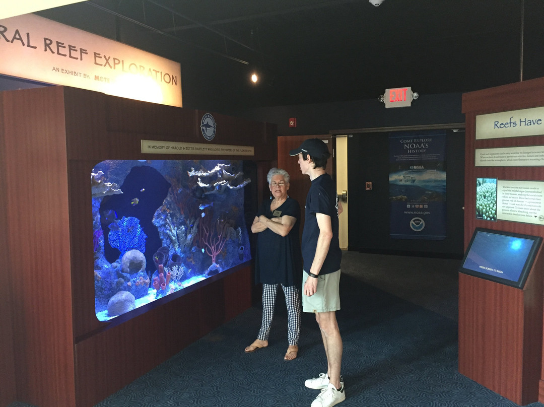 Florida Keys History & Discovery Center景点图片
