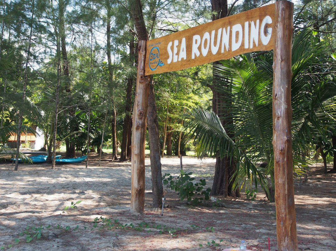 Sea Rounding主图