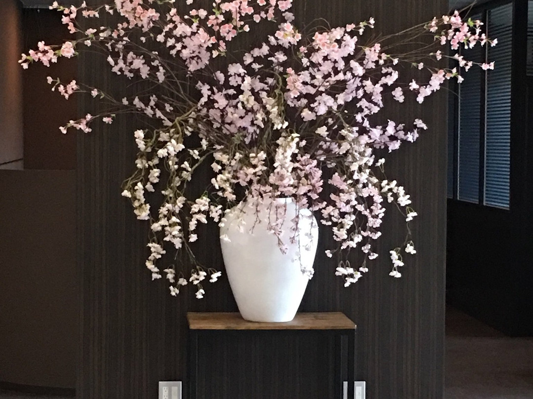 Casa Hotel Shinshirakawa主图