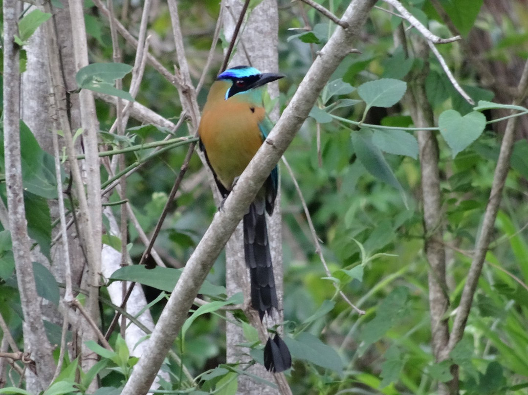 Vista Atenas Bed & Breakfast主图