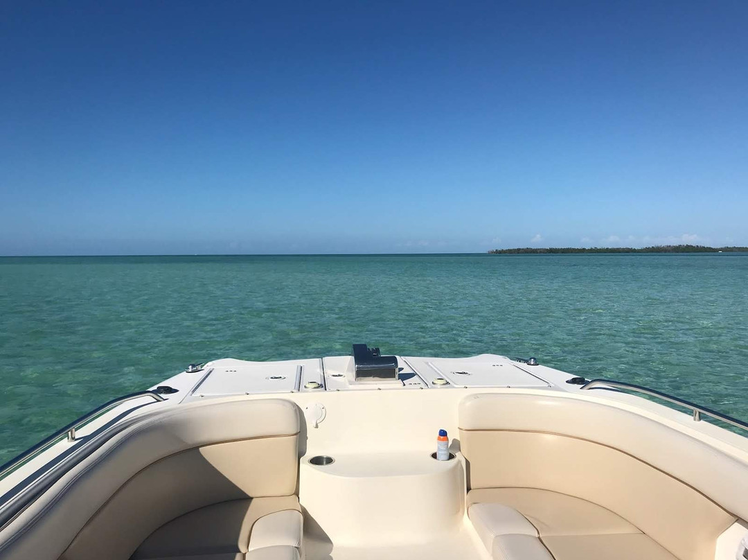 Leisure Cat Adventure Tours-Stock Island必去景点