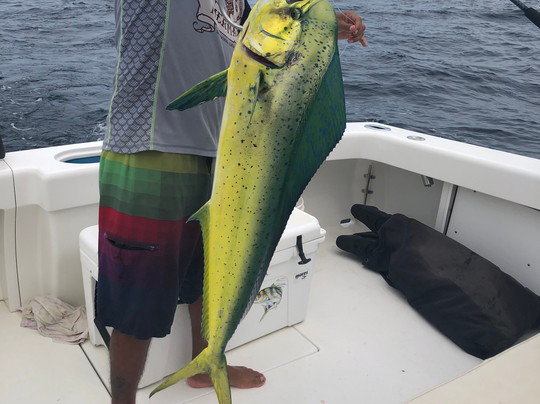 Mermaids and Surfers-塔马林多必去景点