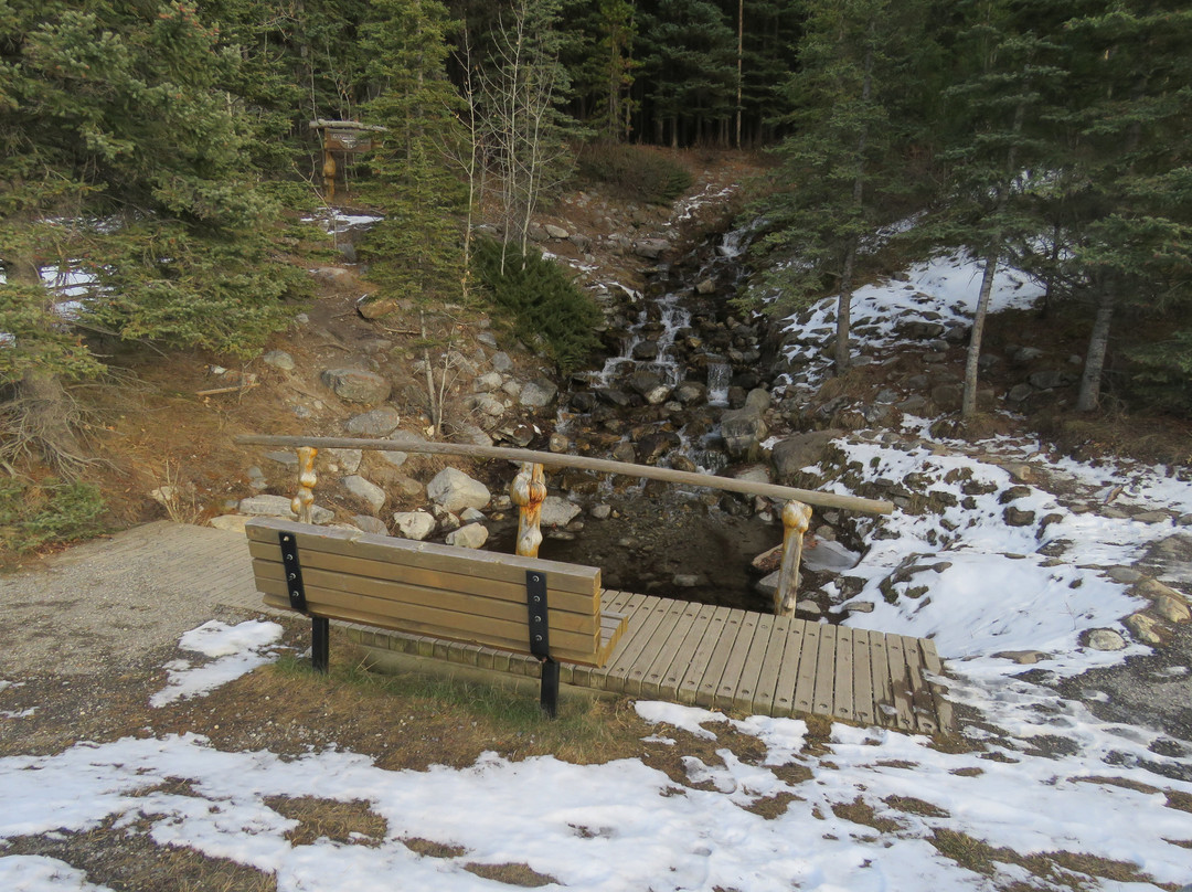 O'shaughnessy Falls-卡那那斯基斯必去景点