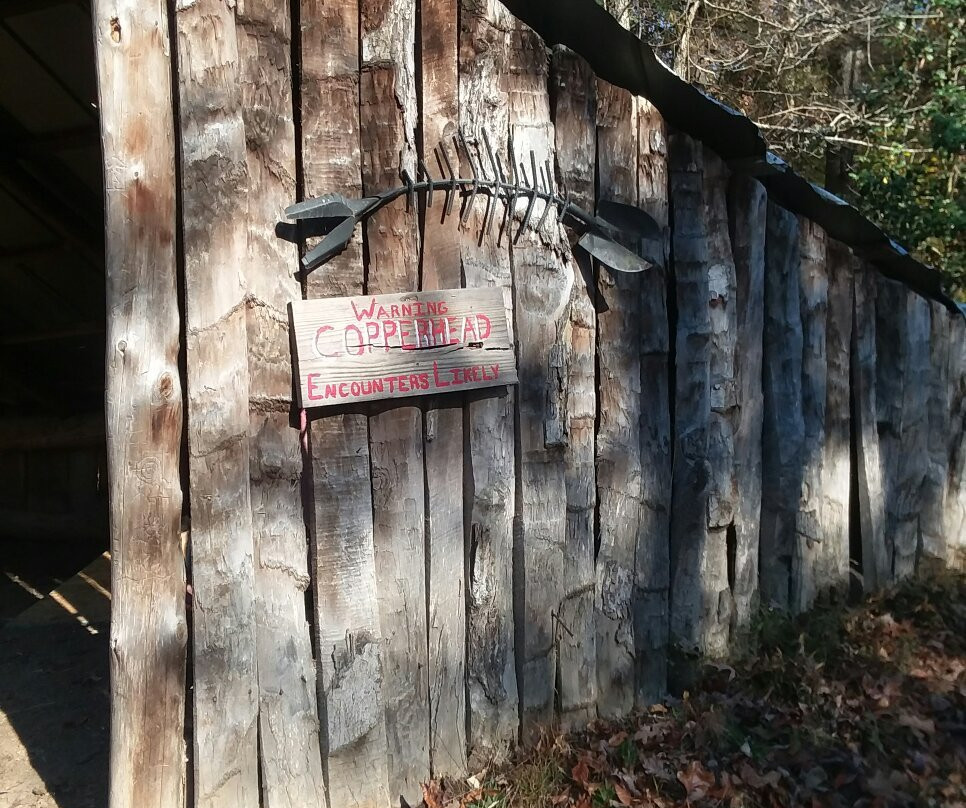 Lilly Pad Hopyard Brewery-Lancing必去景点