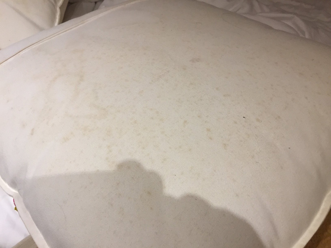 Hotel Rural S'Olivaret主图