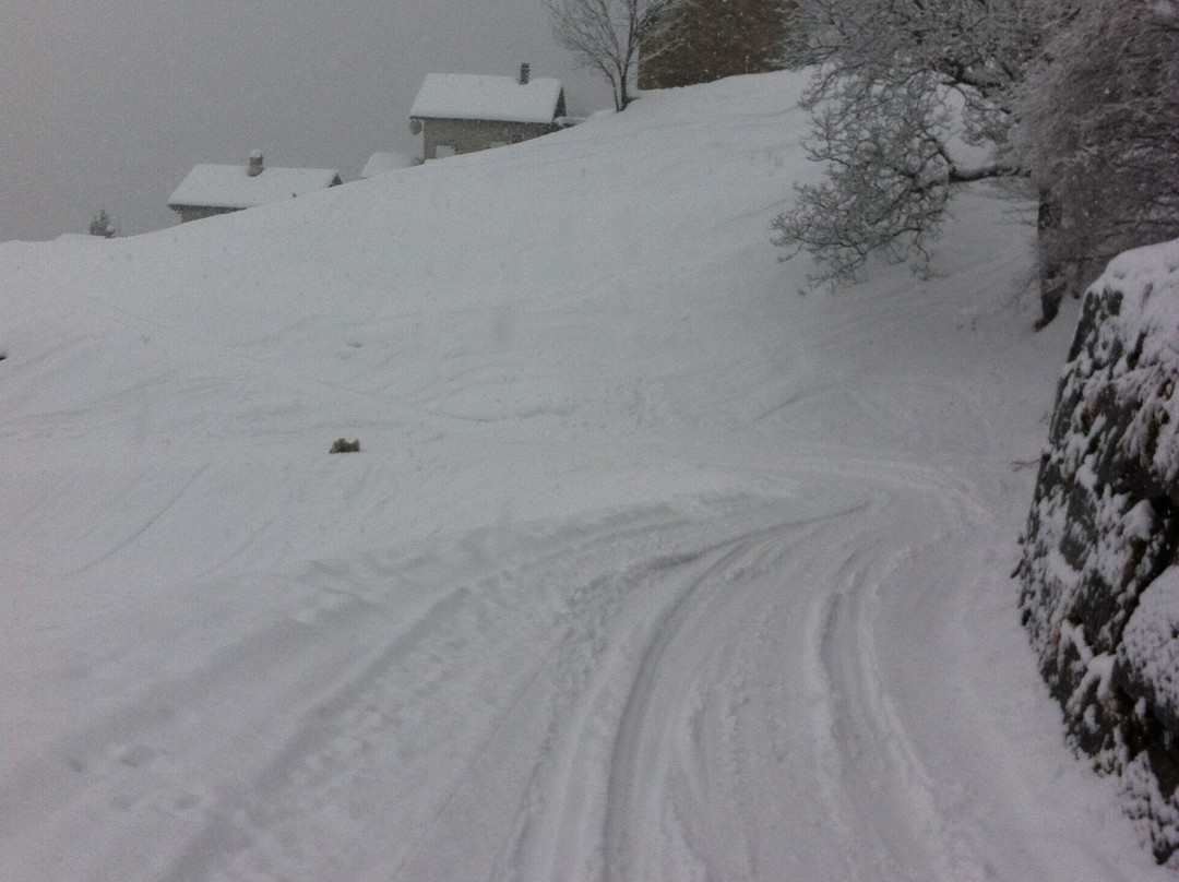 Nara Ski Resort景点图片