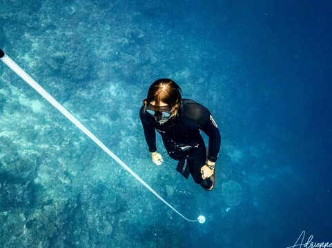 Fluid Focus Freedive Lembongan