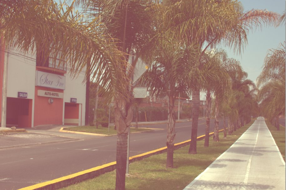 Star Free Auto Hotel主图