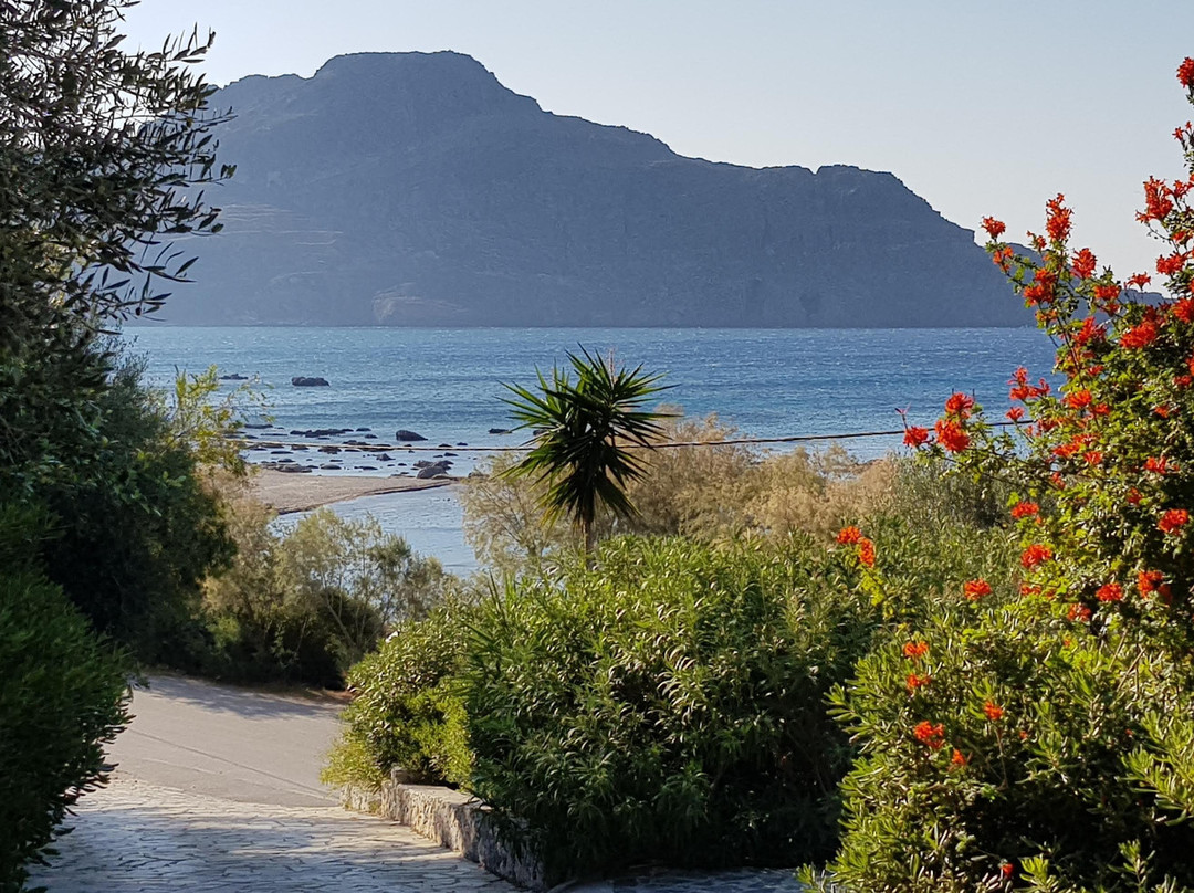荷莱恩海滩酒店主图