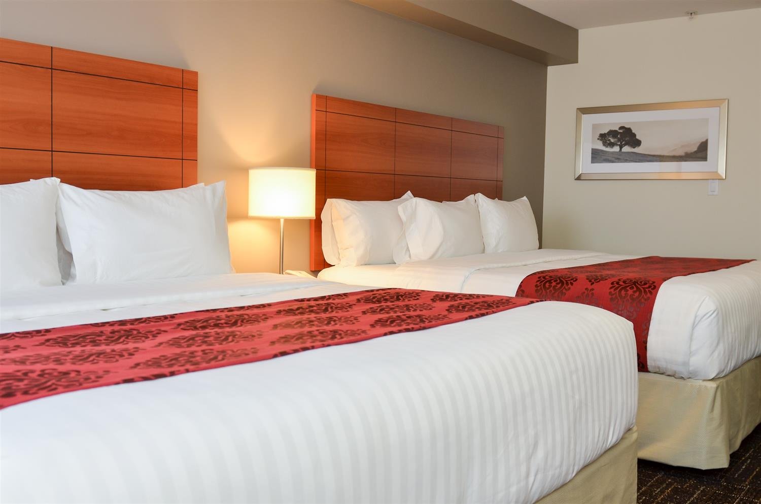 Best Western Thompson Hotel & Suites-官方