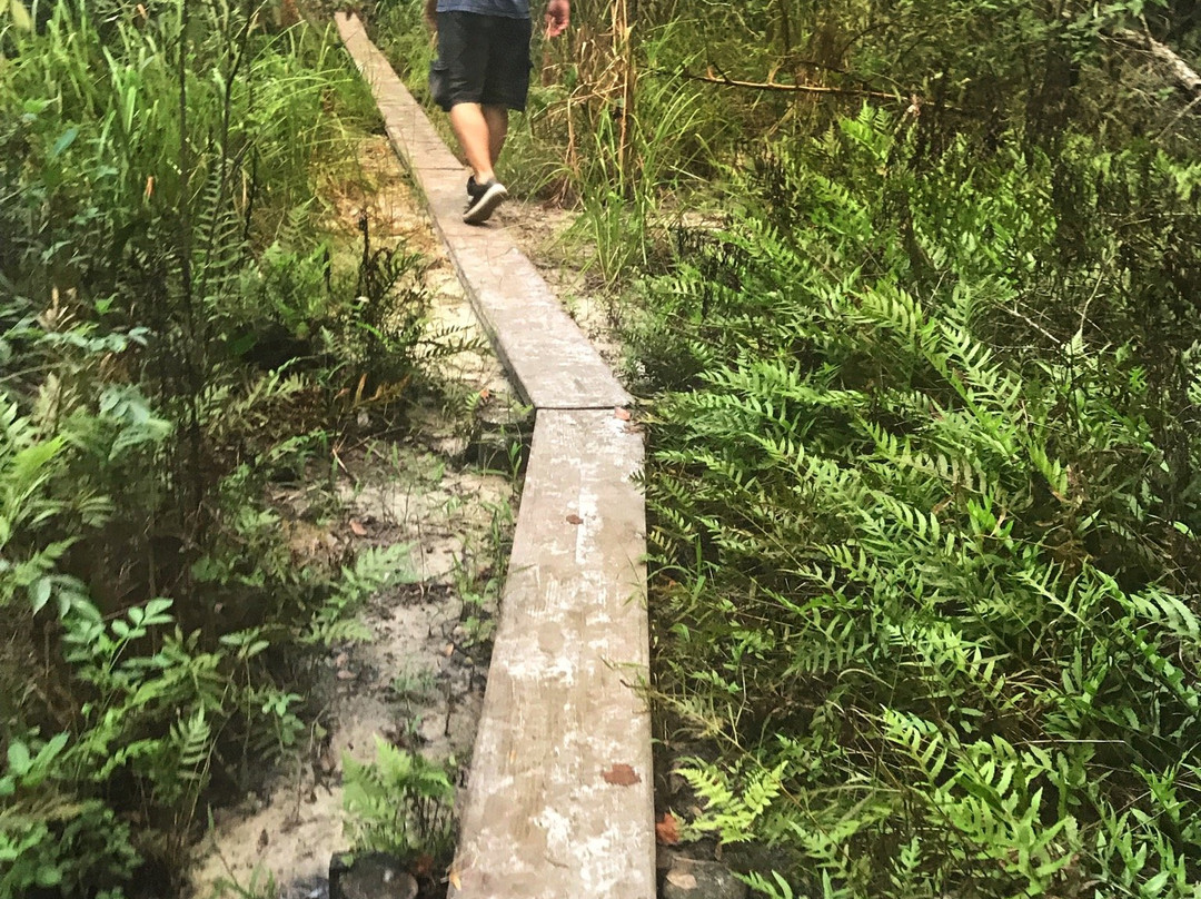 Hidden Waters Preserve-Eustis必去景点