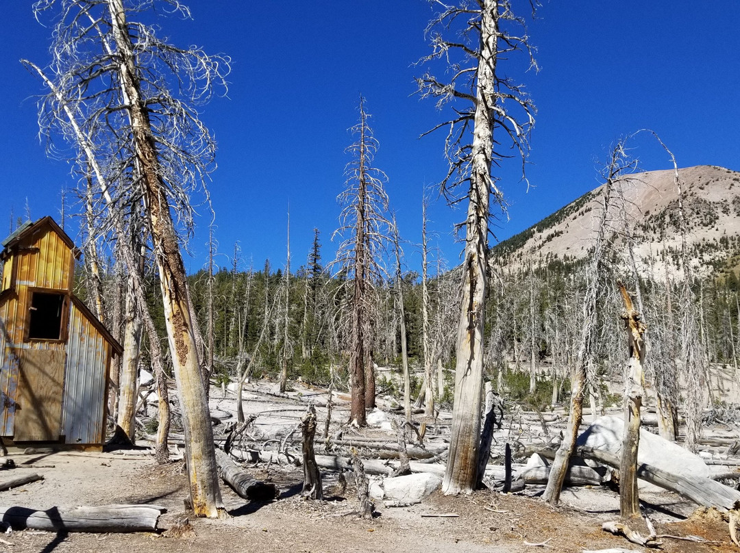 Horseshoe Lake景点图片