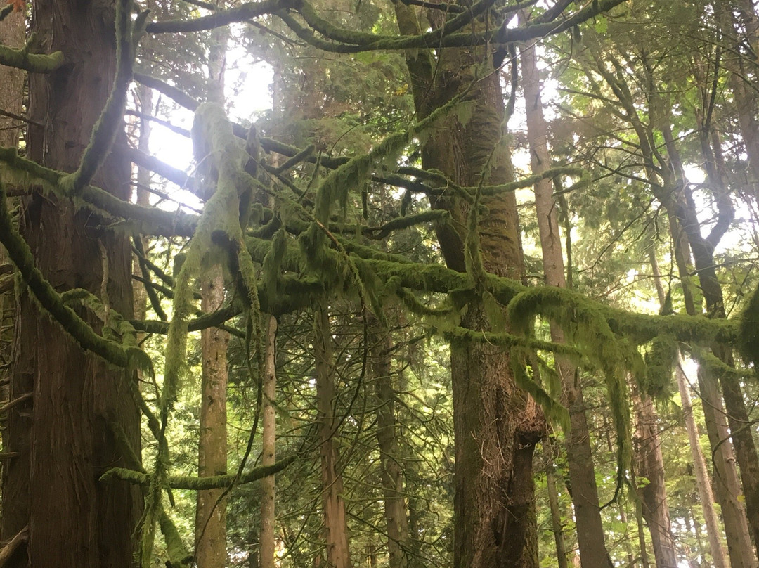 Bowen Island Visitor Centre景点图片