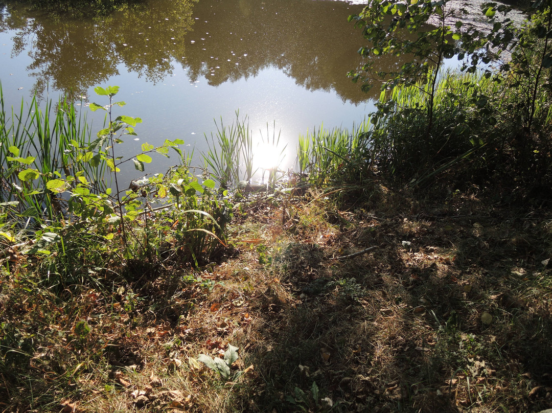 Mordovia State Reserve-Temnikov必去景点